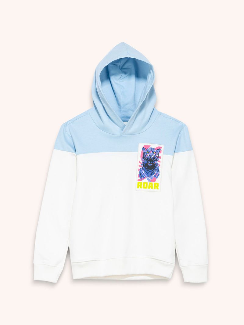 Buzo en Bloque con Estampado para Niño 14156