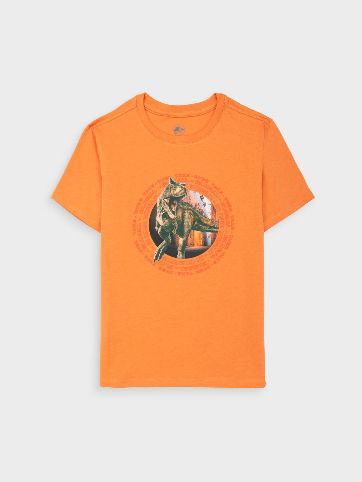 Camiseta Moda para Niño 15958